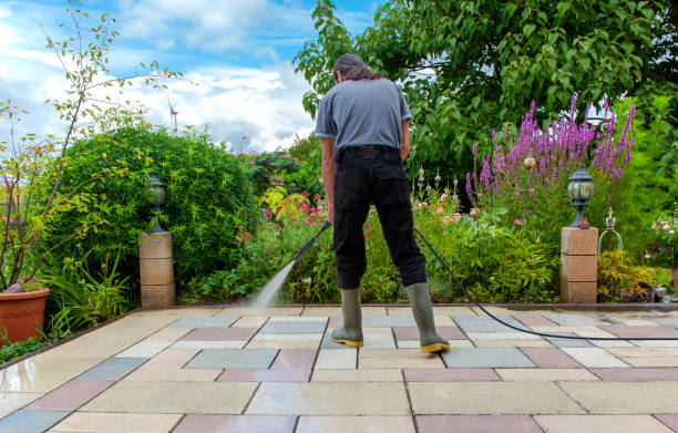 Best Sidewalk and Walkway Cleaning  in Eden, NC