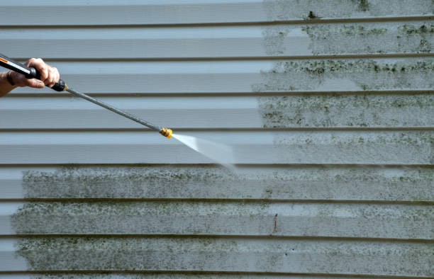 Best Building Exterior Washing  in Eden, NC